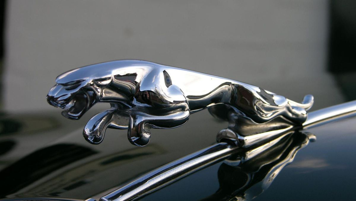 jaguar