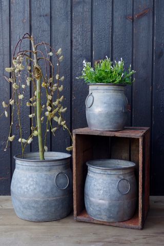 galvanised plant pots on front porch