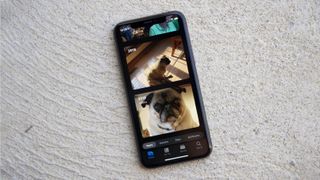 Ios 13 Photos Iphone 11 Pro Dog Images