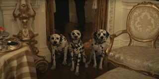 Dalmatians in Cruella