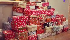 Worcs hunt shoe box 1