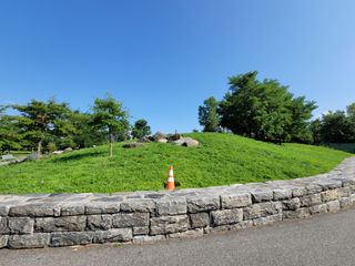 Samsung Galaxy Note 20 Ultra camera roll