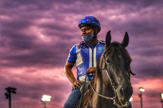 Kentucky Derby Horse Race