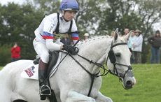jumping a horse on an angle francis whittington, spin doctor