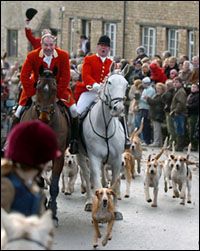 hunt12.jpg