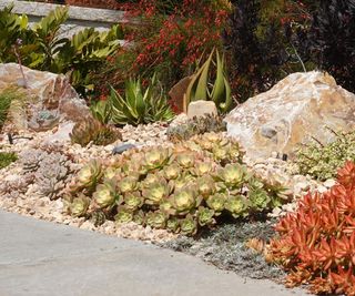 Californian landscaping with gravel, rocks and cacti