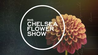 The RHS Chelsea Flower Show 2025 logo with a yellow flower behind it 