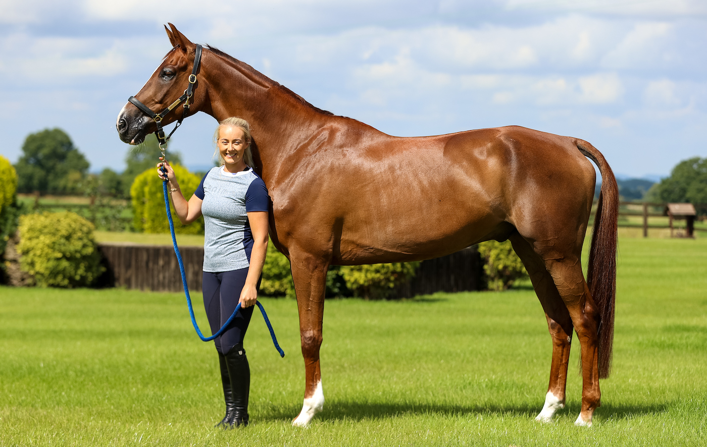 Yasmin Ingham's perfect horse: Banzai Du Loir