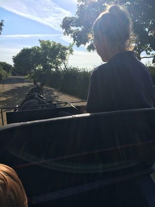 Horse and cart ride on Sark