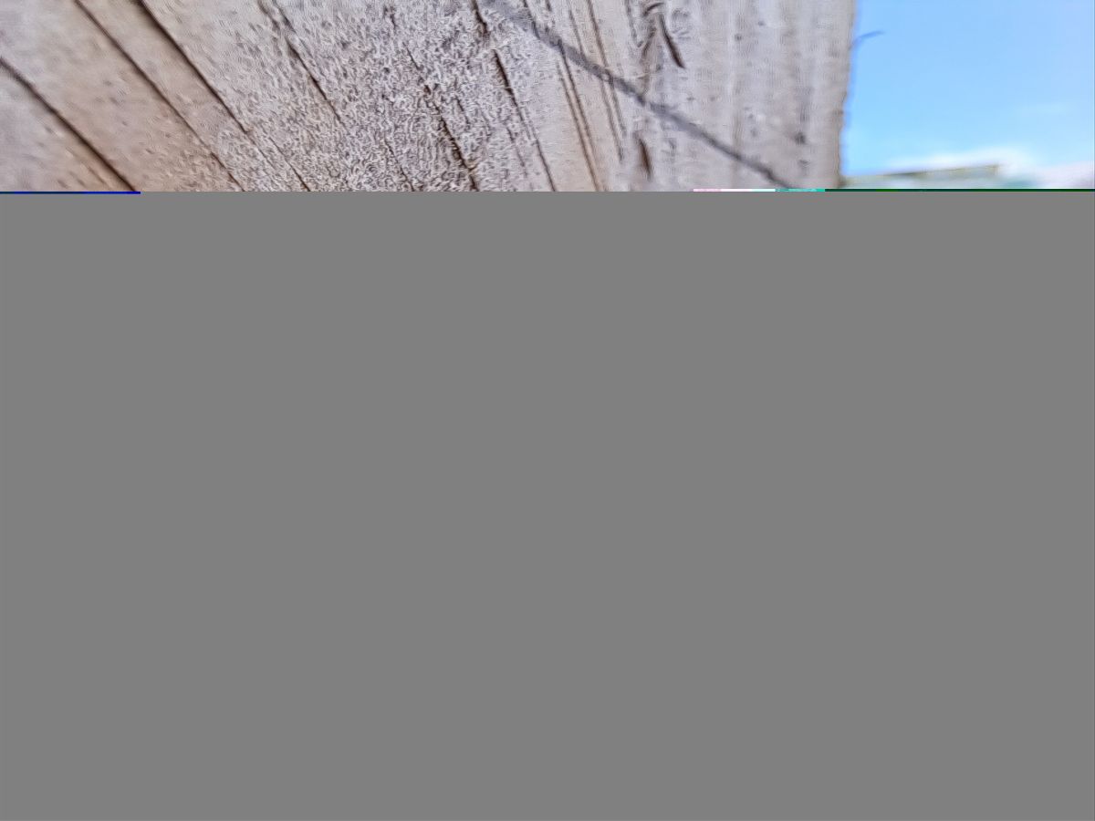 Samsung Galayx A53 5G sample photo