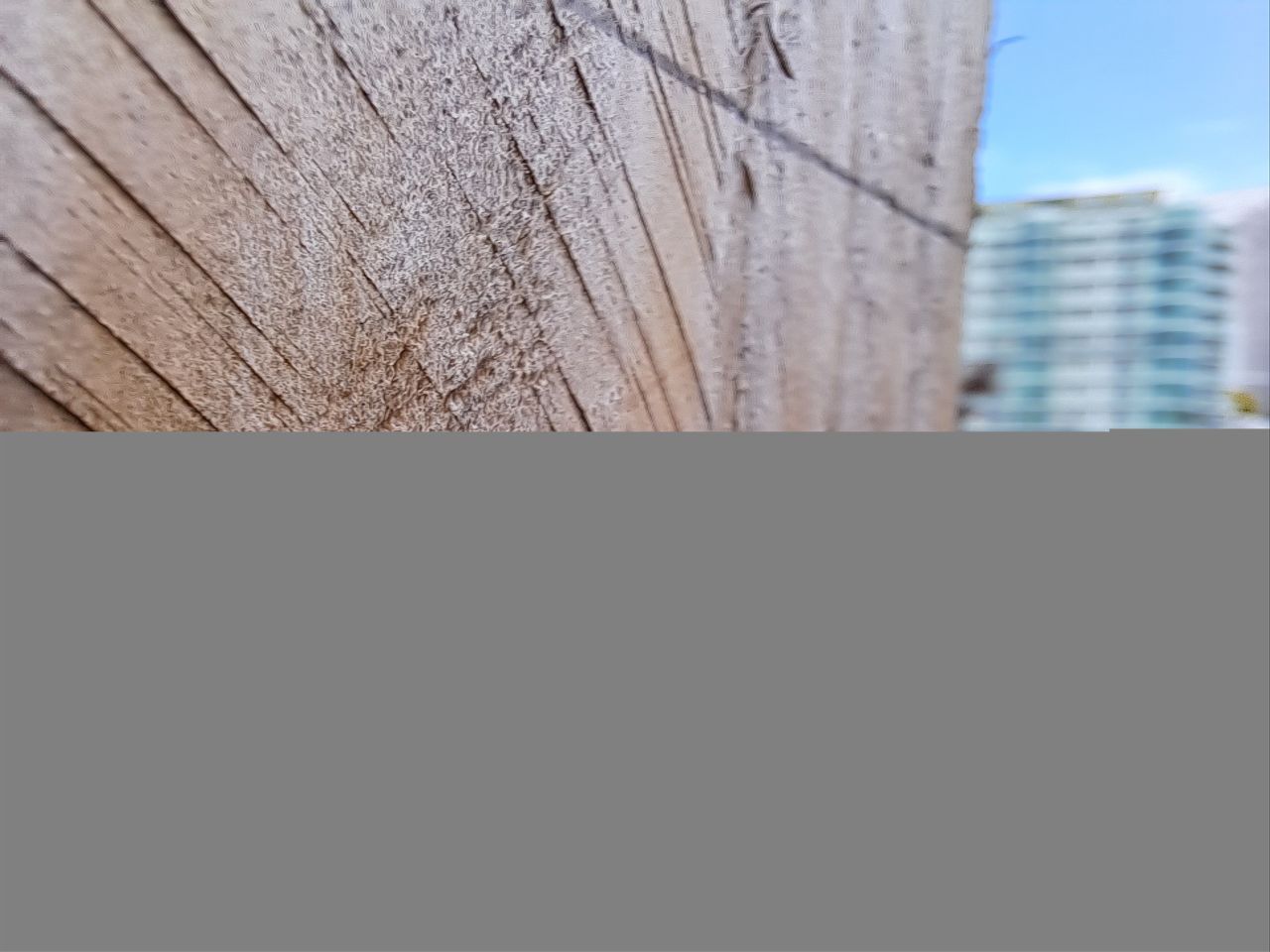 Samsung Galayx A53 5G sample photo