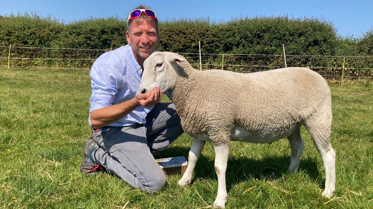 Julian Norton feeding a sheep in The Yorkshire Vet season 18