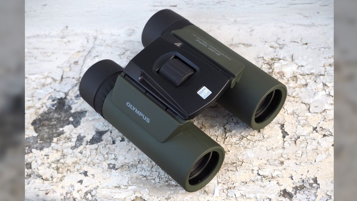 Binocolo Olympus 8x25 WP II - Compatto, Impermeabile, Perfetto Per Trekking E Mare