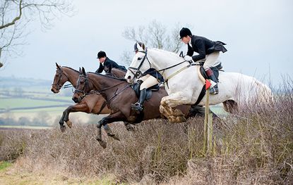 The Cottesmore Hunt meet at Marefield, Rutland, and hunting between Burrough on the Hill and Owston, February 2011.