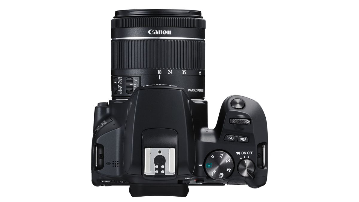 Canon EOS R100 vs Rebel SL3 / 250D Digital Camera World