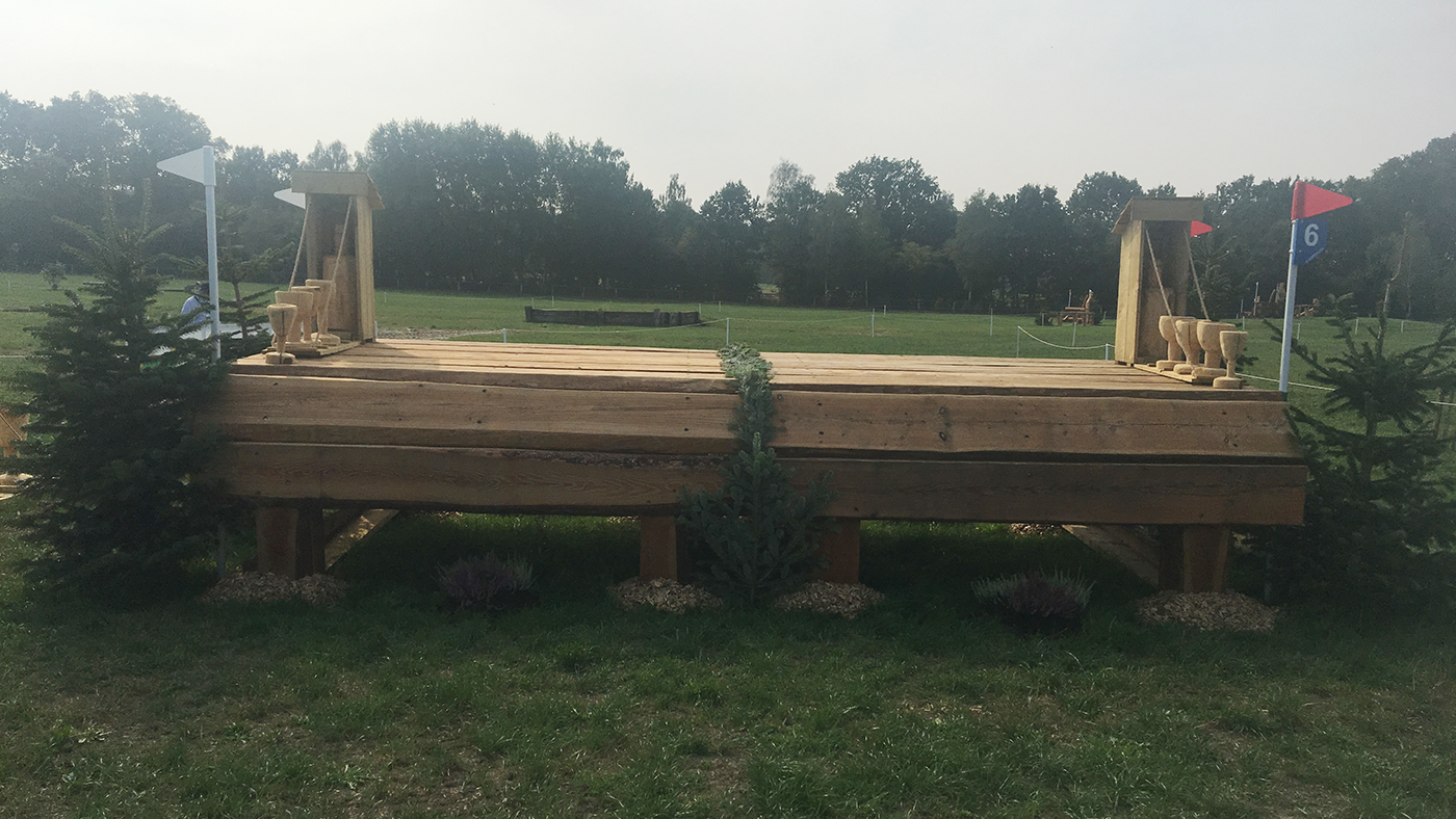 Fence 6 long European Eventing Championships 2019