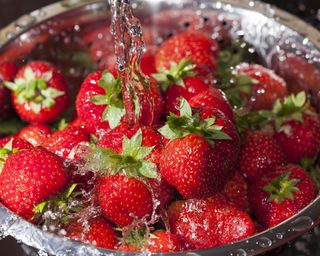 Red ripe strawberries in a stainless steel colander