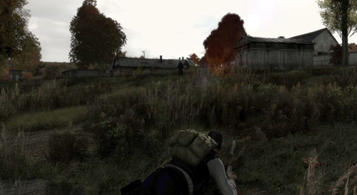 DayZ