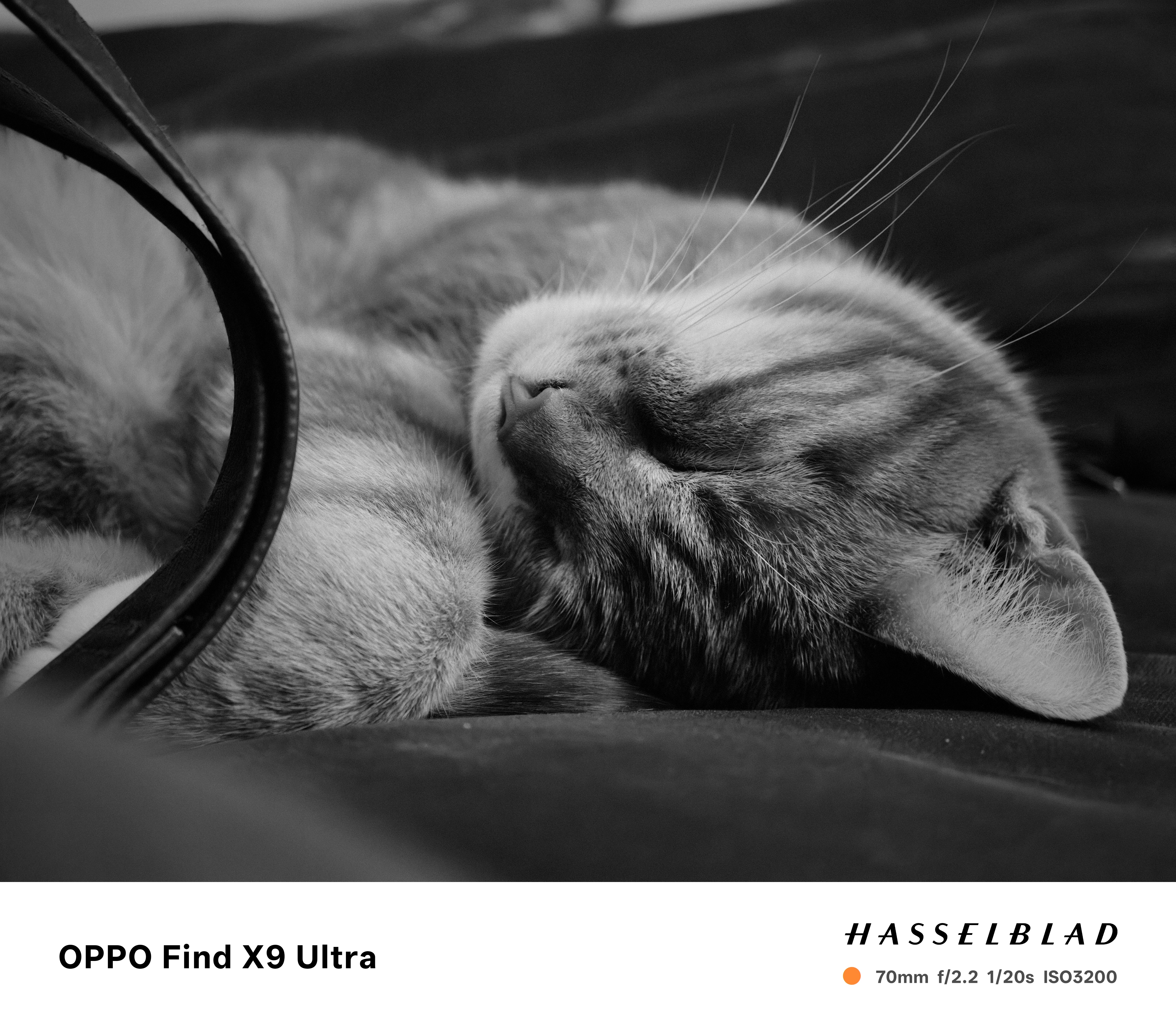 Oppo Find X9 Ultra Sample Photo