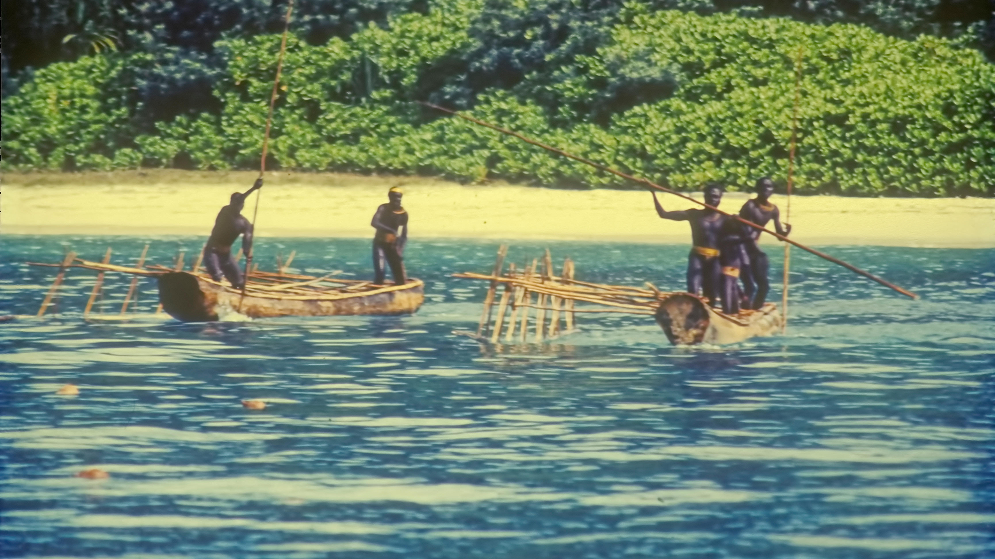 Four people paddle in wooden canoes on water