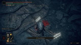 Elden Ring Rogier quest