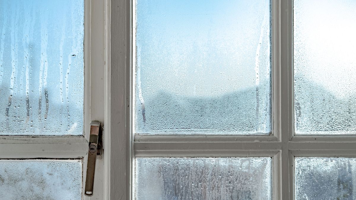 How To Stop Condensation Ruining Your Property
