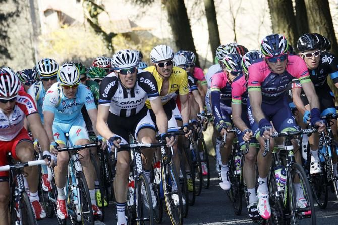 The peloton