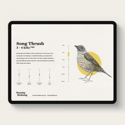 Hearing Birdsong Ipad Interface mockup of immersive hearing test app