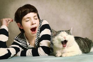 A boy and a cat yawning.