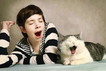 A boy and a cat yawning.