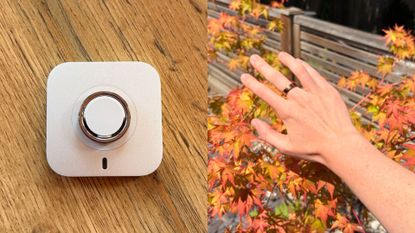 Grace Walsh wearing the Oura Ring 5 on finger and on charger