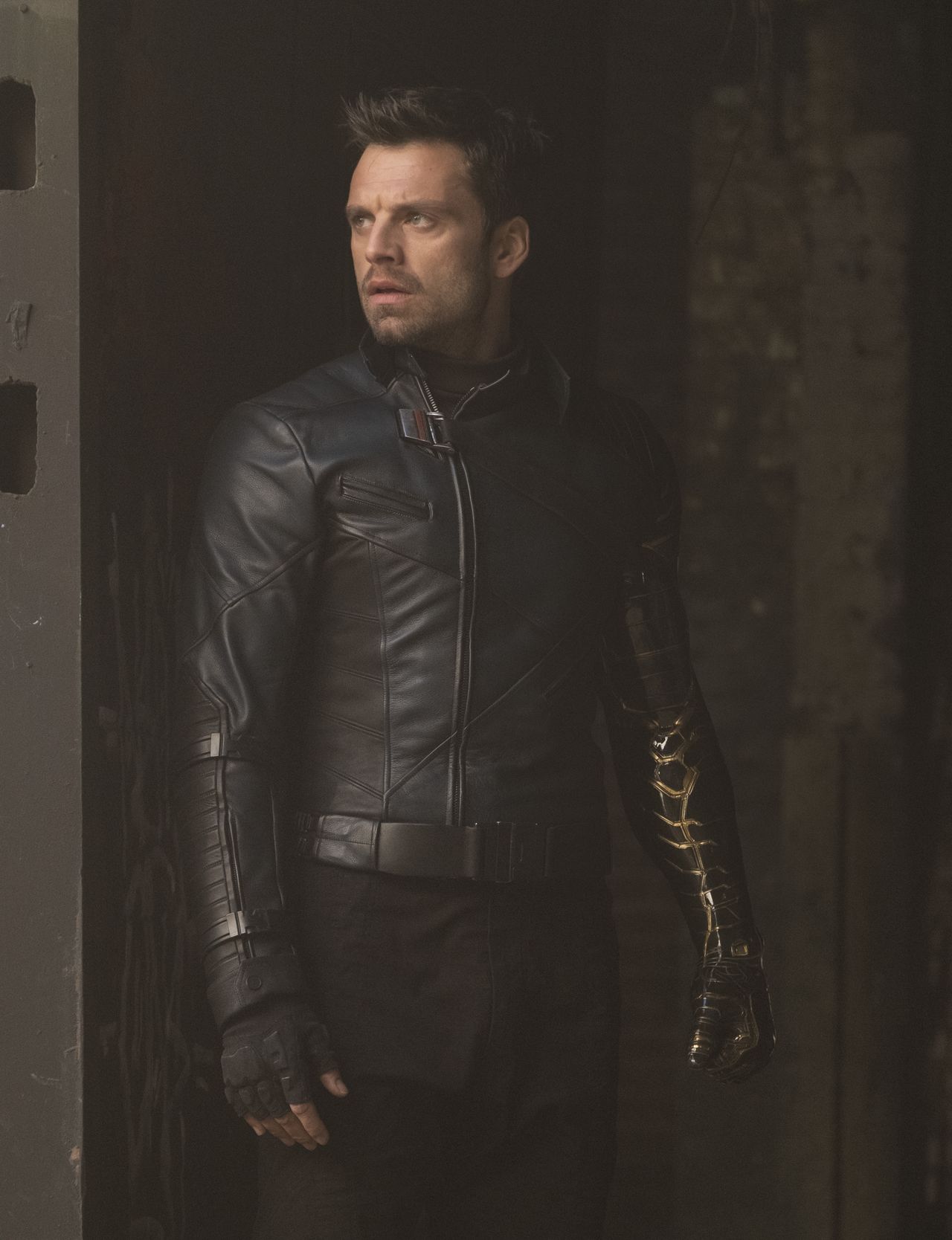 The Falcon and the Winter Soldier