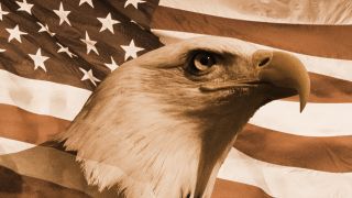 A bald eagle set against the American flag