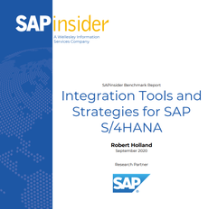 Whitepaper cover with title and blue vertical band to the right with digital globe image