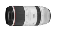 best lenses for bird photography: Canon RF 100-500mm f/4.5-7.1L IS USM