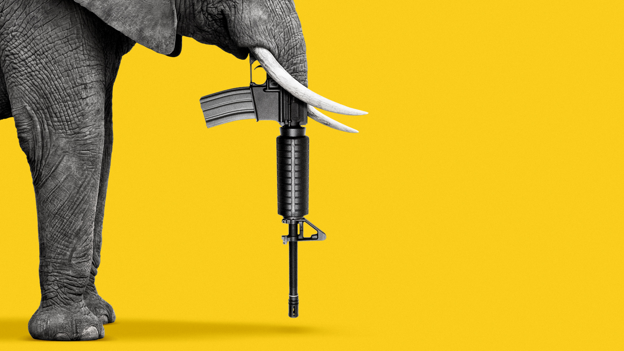 Illustration of an elephant with a rifle for a trunk