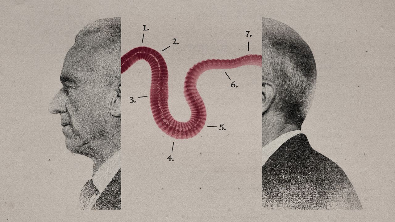 Photo collage of RFK Jr.&#039;s profile, cut in half to reveal a large pink worm between the two halves of the photo