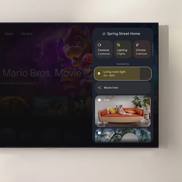 Google TV Home panel