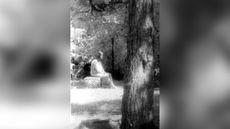 Bachelor&rsquo;s Grove Cemetery is a small cemetery in a forest on the outskirts of Chicago that has earned a reputation as the most haunted graveyard in the United States.