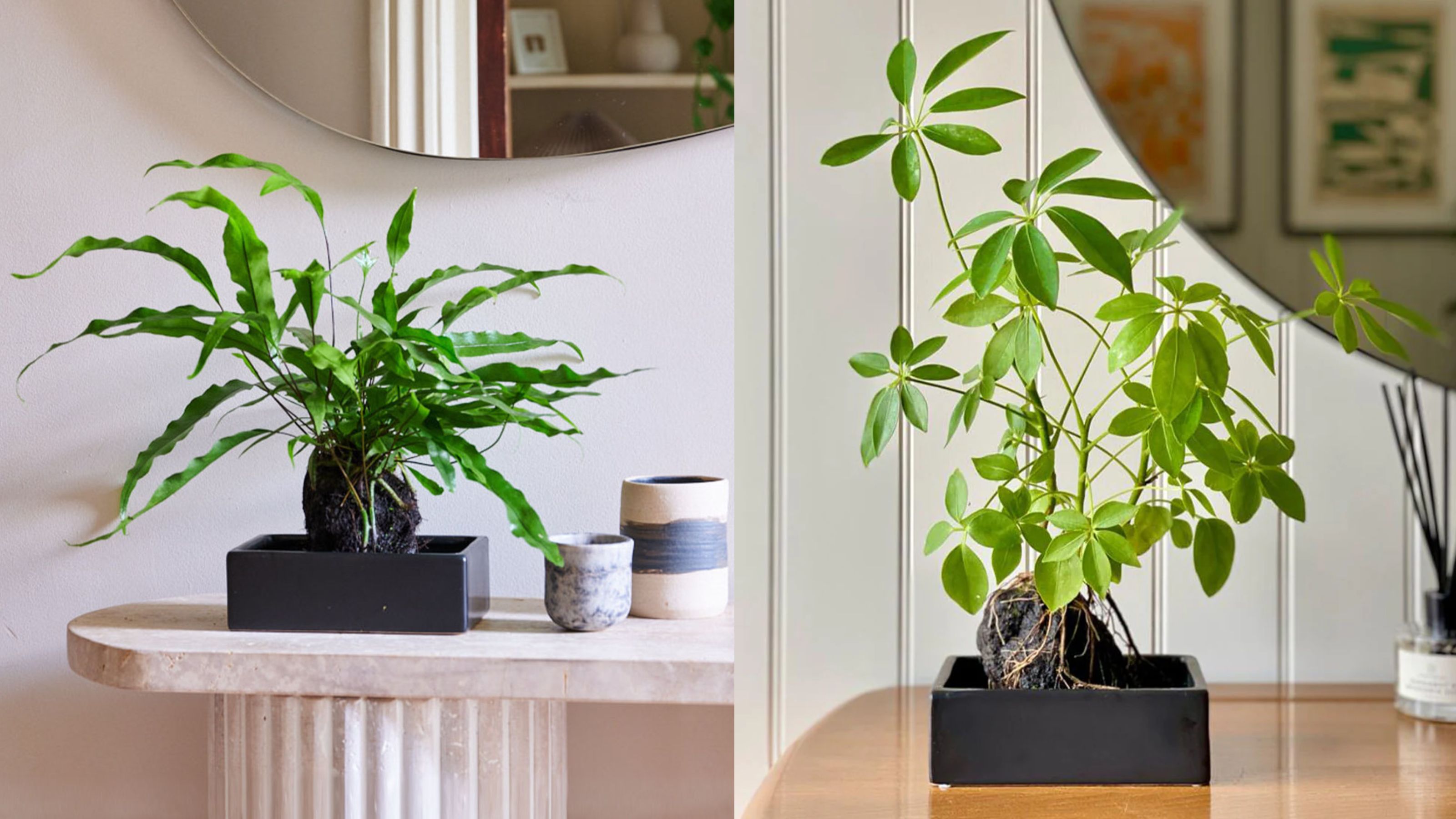 Two shots of lava rock plants in a home, one by the entryway (L) and another in a living room (R) 