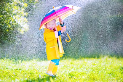 Unique store rain umbrellas