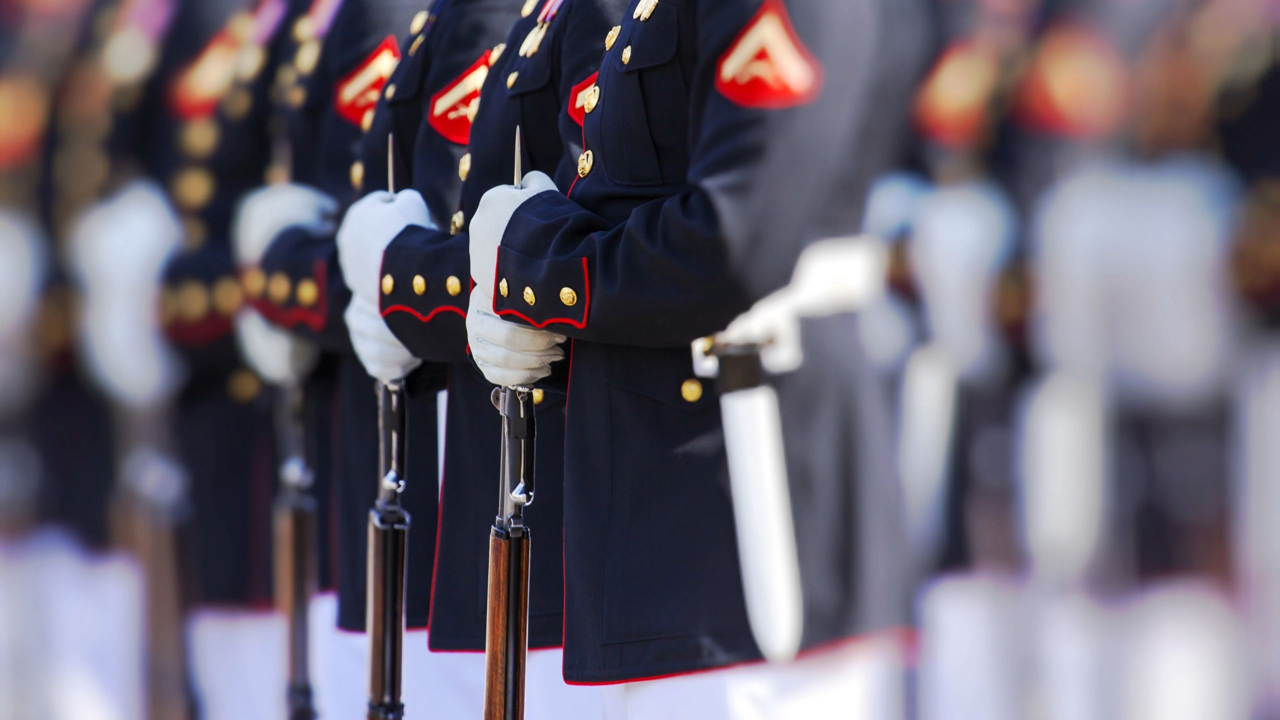 The Discipline You Can Apply to Your Portfolio to Save Money The Discipline You Can Apply to Your Portfolio to Save Money