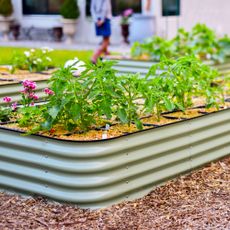 raised bed garden with drip irrigation 