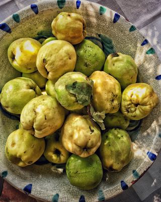 Top-down photo of meals