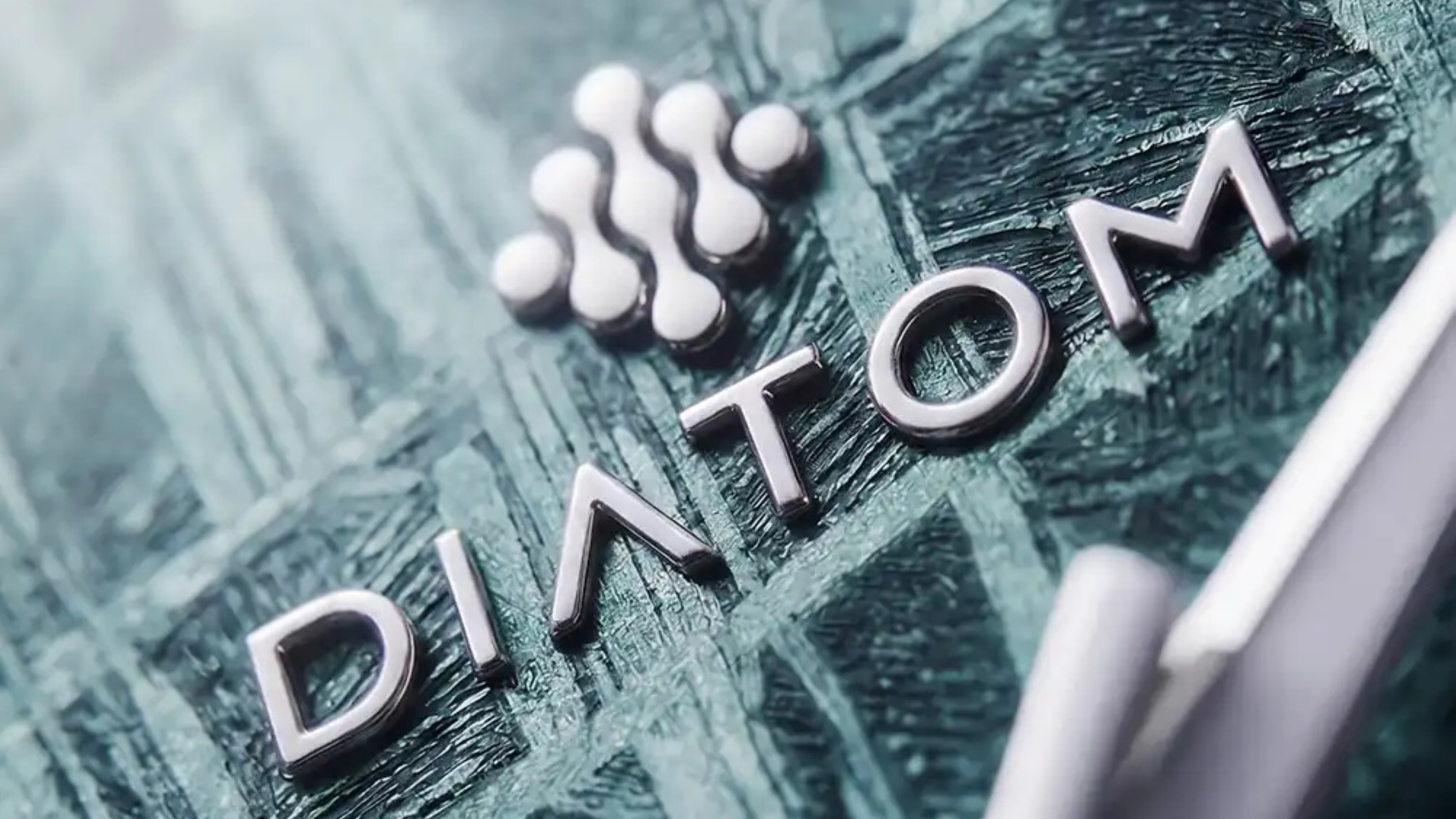 Diatom Watches Terra Meteorite