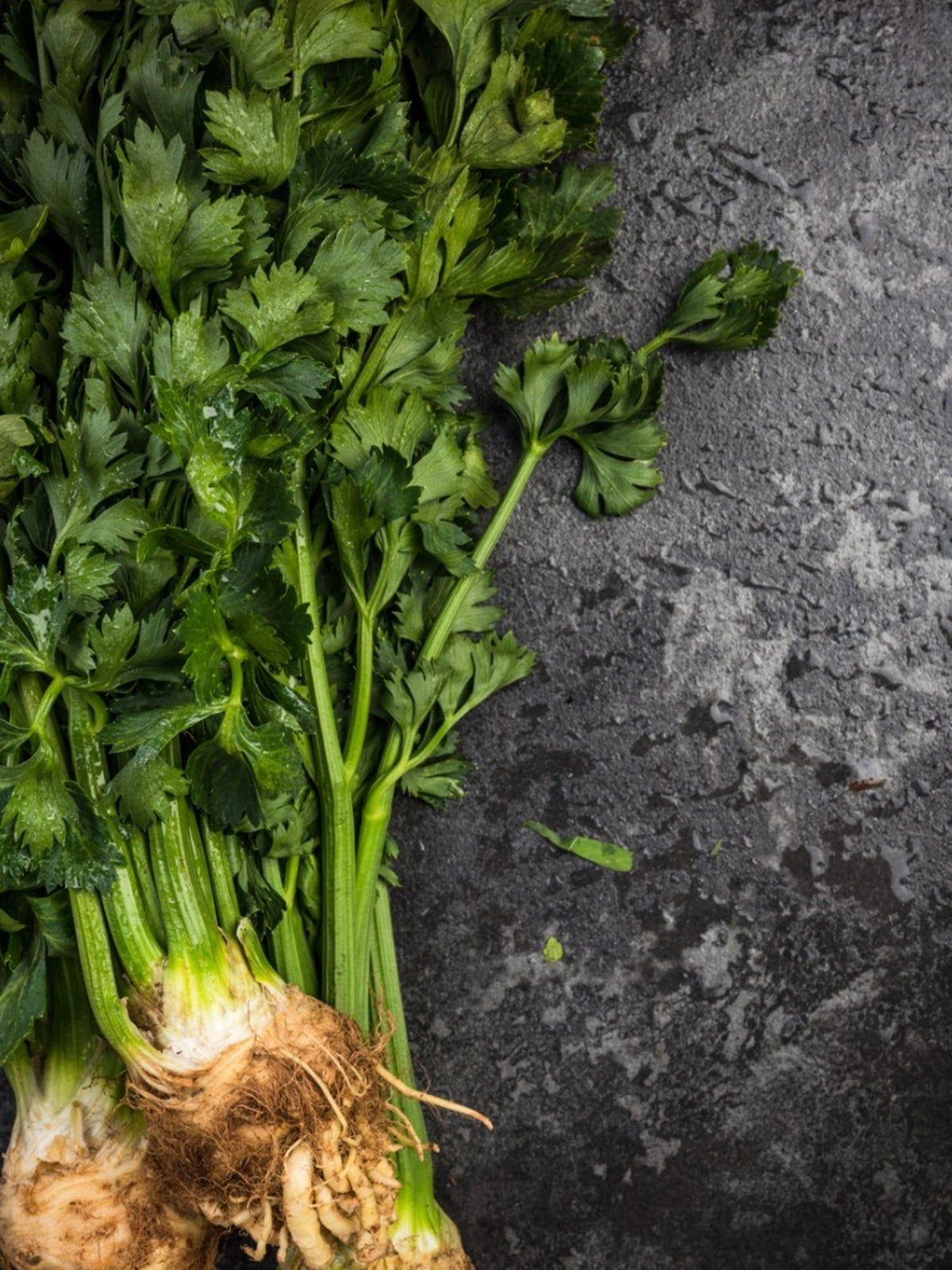 Harvested Celery