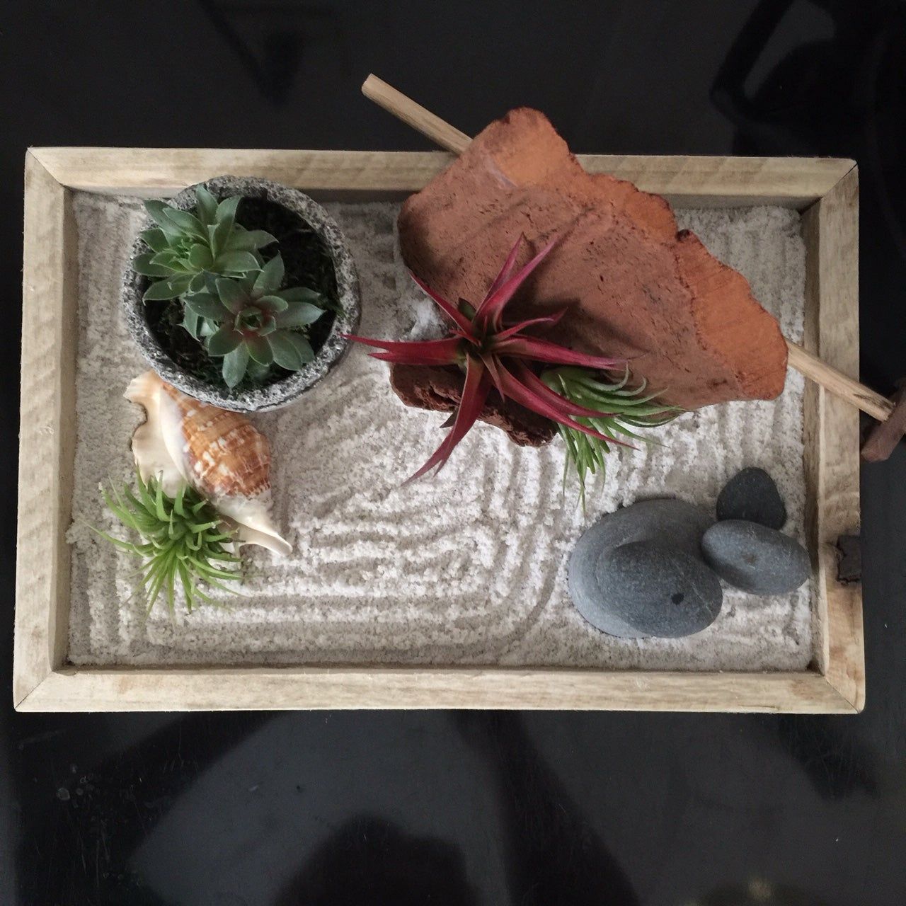 succulent zen garden