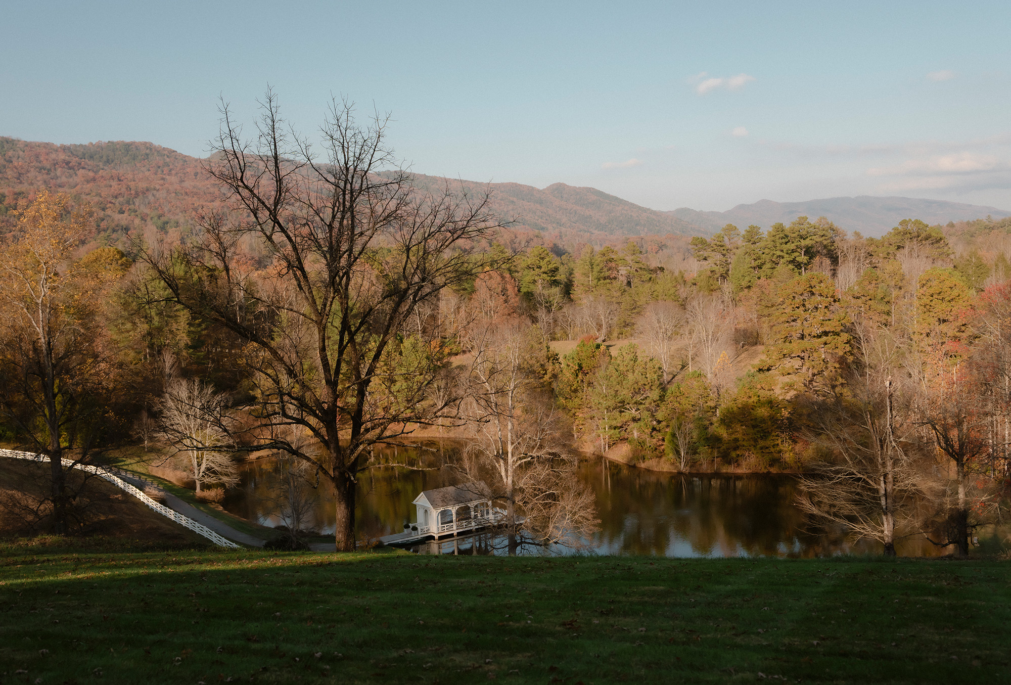 Mollie Mandel and Matthew Stewart wedding.
