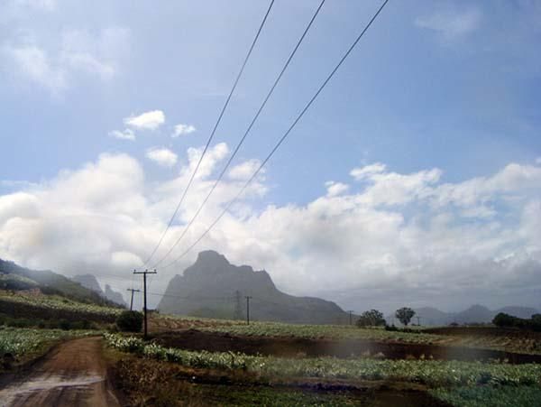 On the plateau