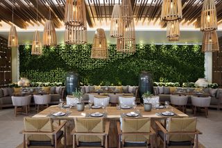 Elia restaurant at Porto Sani Resort. There's a living wall of foliage, beautiful wicker lights, comfy chairs upholstered in sage green and soft grey